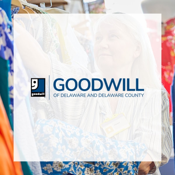 cdt-overview-goodwill